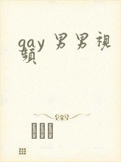 gay 男男视频
