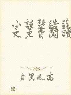 小说楚皓苏念全文免费阅读