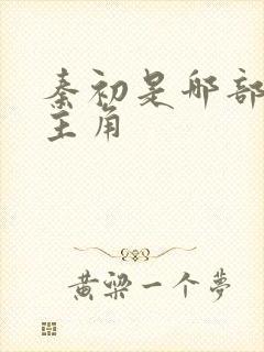 秦初是哪部小说主角