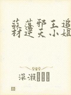 苏落邪王追妻废材逆天小姐