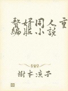 赘婿同人重口改编版小说