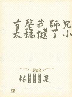 有声我师兄实在太稳健了小说封面
