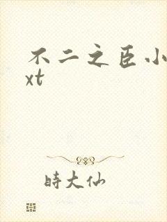 不二之臣小说txt