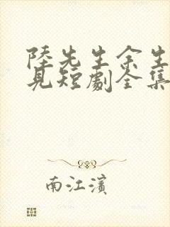 陆先生余生不再见短剧全集免费观看