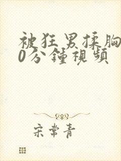 被狂男揉胸部60分钟视频封面