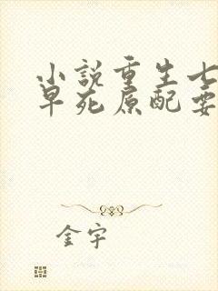 小说重生七零,早死原配要翻身最新章节