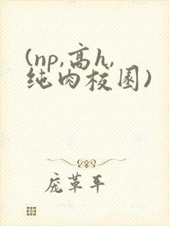 (np,高h,纯肉校园)