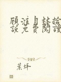 顾淮月林拾安小说免费阅读最新章节封面