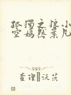 孤独之狼小说司空嫣然叶凡