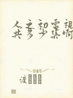 人之初电视剧一共多少集啊