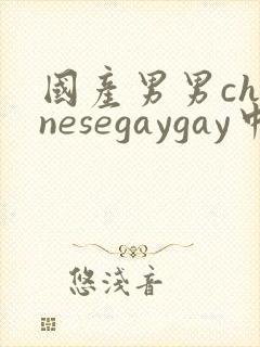 国产男男chinesegaygay中国帅哥网站