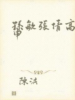 孙敏张倩高义王申