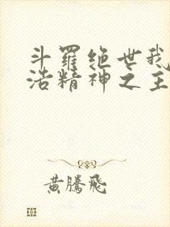 斗罗绝世我霍雨浩精神之主小说