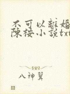 不可以离婚by陈桉小说txt封面