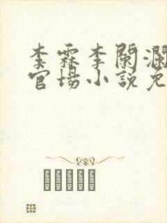 李霖李阑澜巅峰官场小说免费阅读