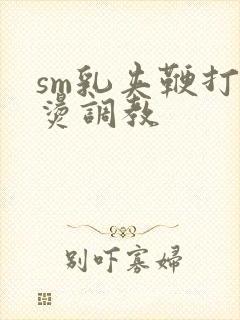 sm乳夹鞭打滴烫调教封面