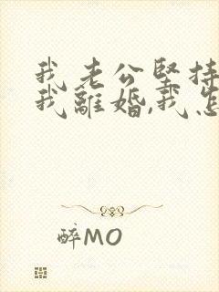 我老公坚持要和我离婚,我怎么办