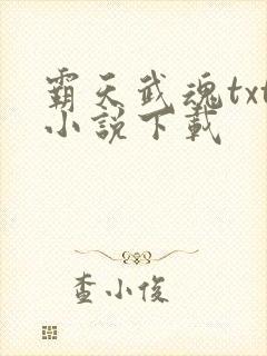 霸天武魂txt小说下载