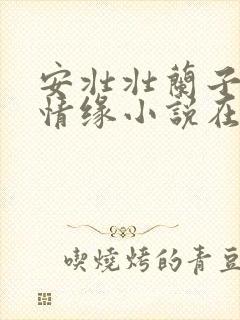 安壮壮兰子古寨情缘小说在哪里看封面