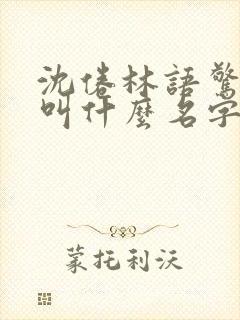 沈倦林语惊小说叫什么名字封面