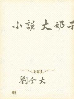 小说 大奶子