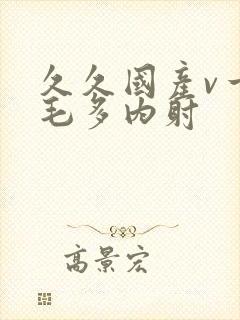 久久国产v一级毛多内射