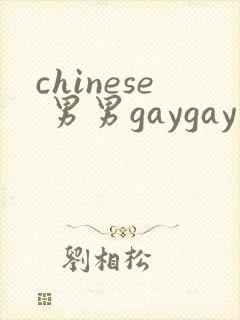 chinese 男男gaygay 网站封面