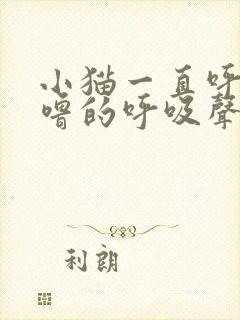 小猫一直呼噜呼噜的呼吸声