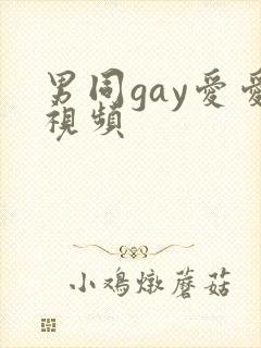 男同gay爱爱视频封面