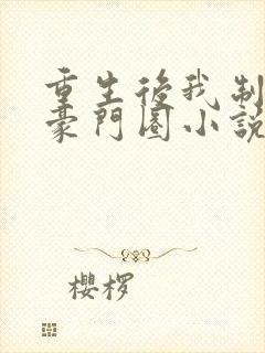 重生后我制霸了豪门圈小说封面