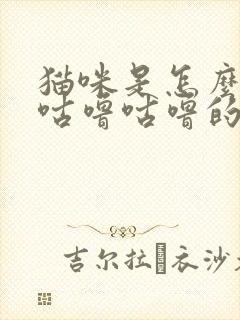 猫咪是怎么发出咕噜咕噜的声音