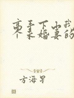 高手下山我有九个未婚妻的小说