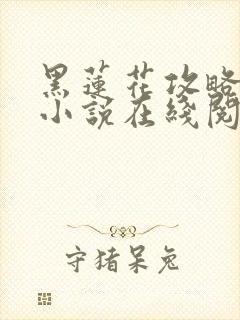 黑莲花攻略手册小说在线阅读