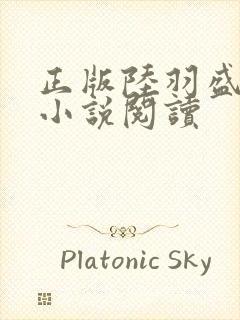 正版陆羽盛凌云小说阅读封面