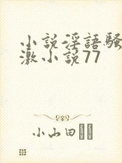 小说淫语骚话刺激小说77