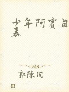 少年阿宾目录列表