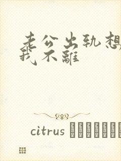 老公出轨想离婚我不离封面