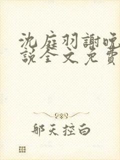 沈庭羽谢晚晚小说全文免费阅读