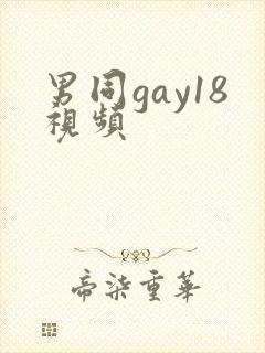 男同gay18视频