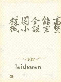 校园全能高手季枫小说完整版txt