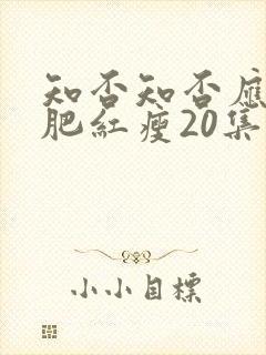 知否知否应是绿肥红瘦20集