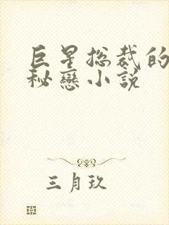 巨星总裁的专属秘恋小说封面