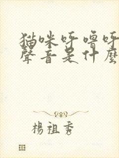 猫咪呼噜呼噜的声音是什么意思啊封面