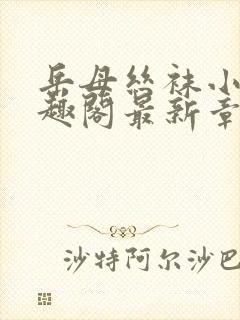 岳母丝袜小说笔趣阁最新章节更新