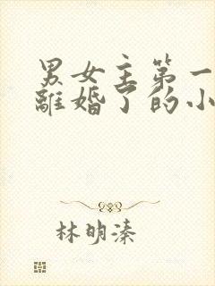 男女主第一章就离婚了的小说