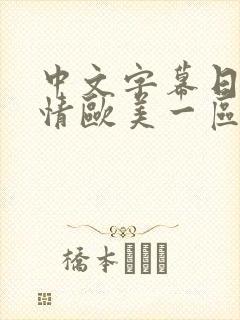 中文字幕日韩激情欧美一区封面