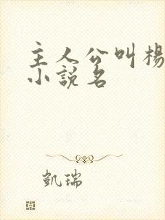 主人公叫杨凡的小说名