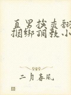 直男挨爽翻呻淫捆绑调教小蓝