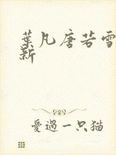 叶凡唐若雪新更新