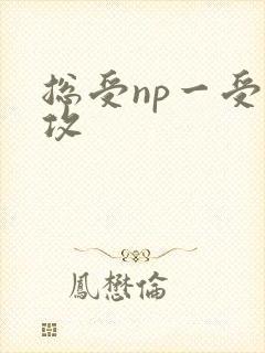 总受np一受多攻